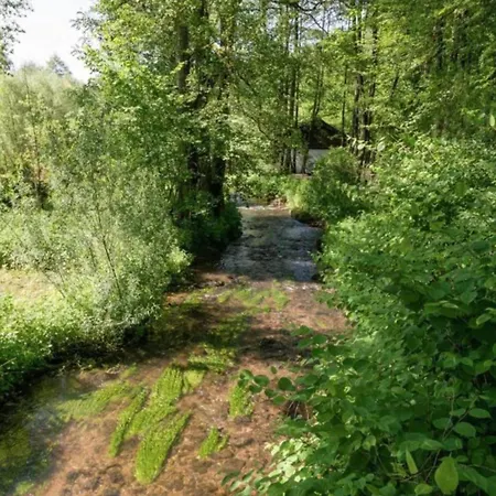 Mansion In Near Forest Trails, Cleaning Included